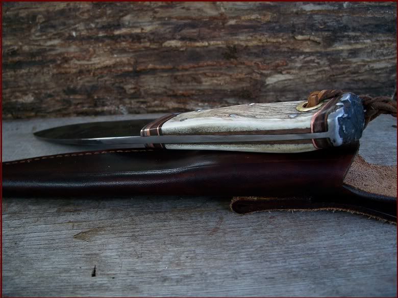 CaribouspineAC800.jpg