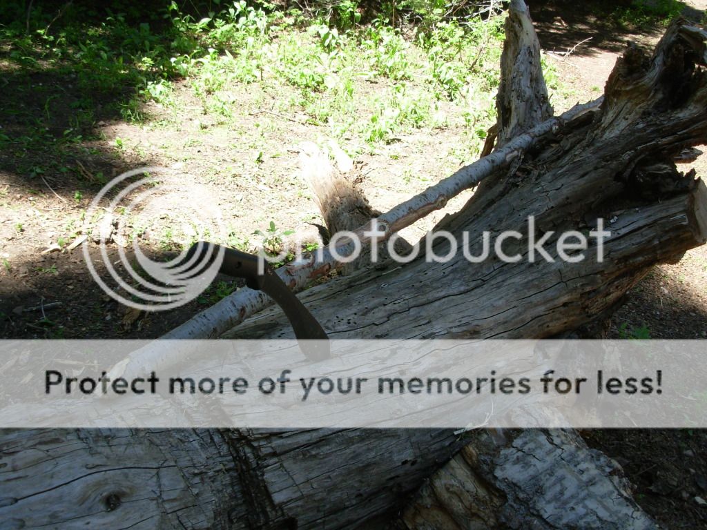 DSCN1678.jpg