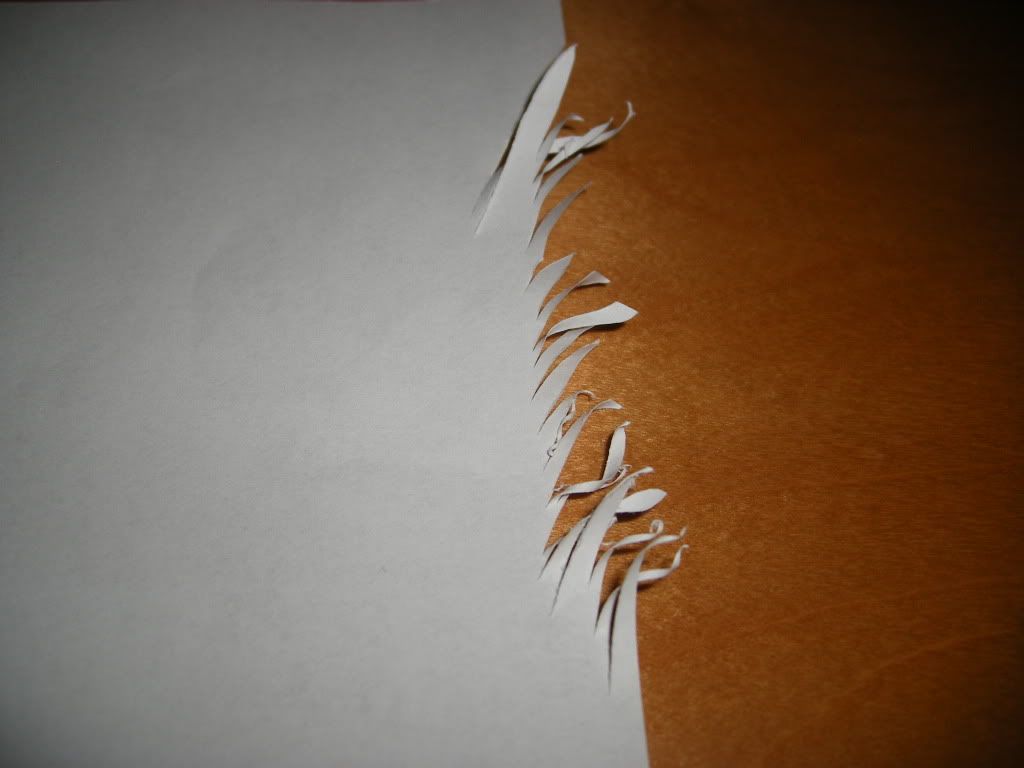 DSCF3987.jpg