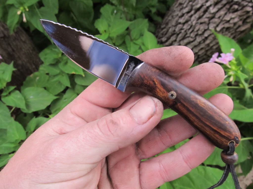 Ironwood52100030.jpg