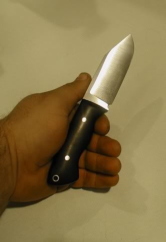 blackoxblood5.jpg
