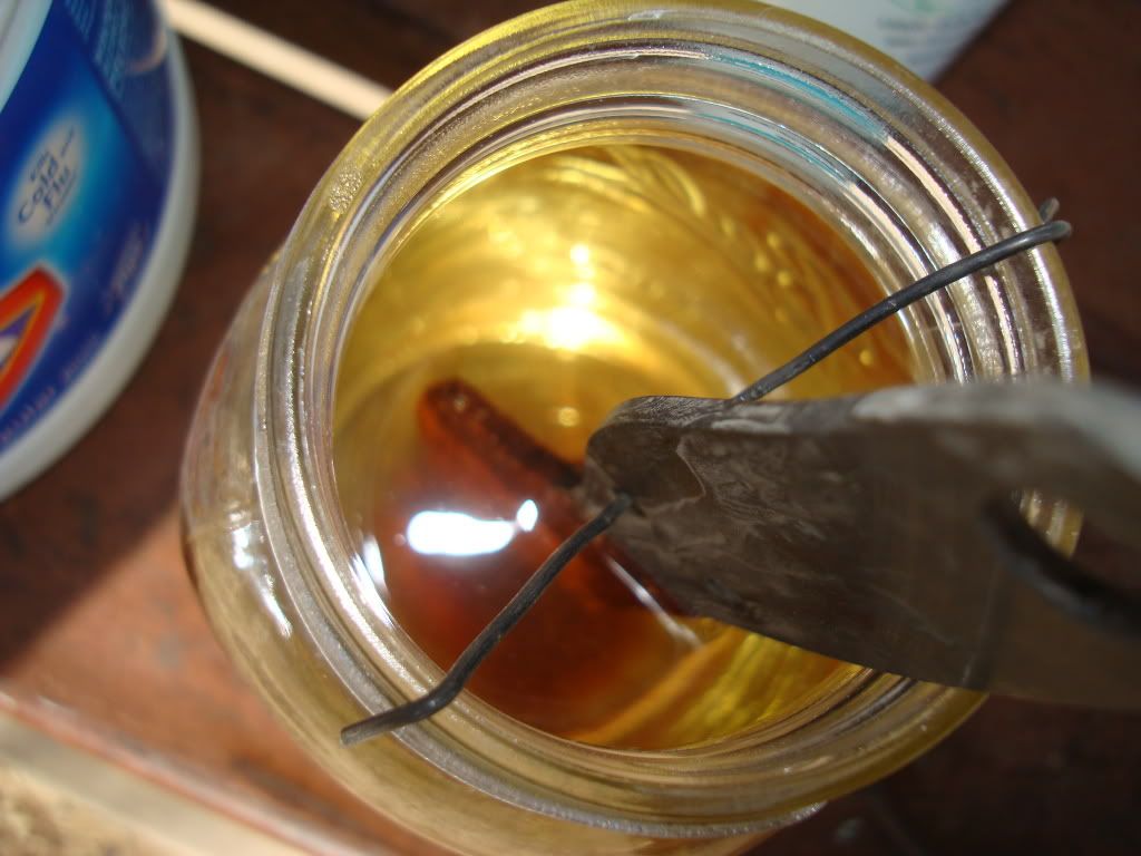 DSC08856.jpg