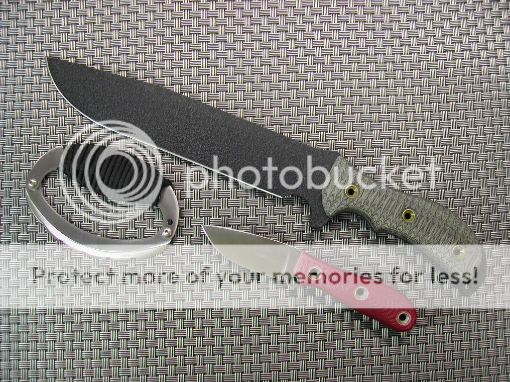 DSCN5287.jpg
