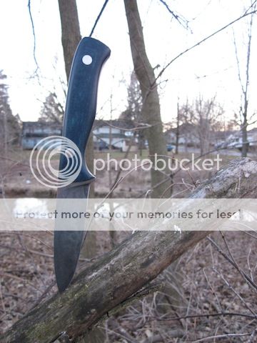 IMG_7458_zpsff391fb3.jpg~original