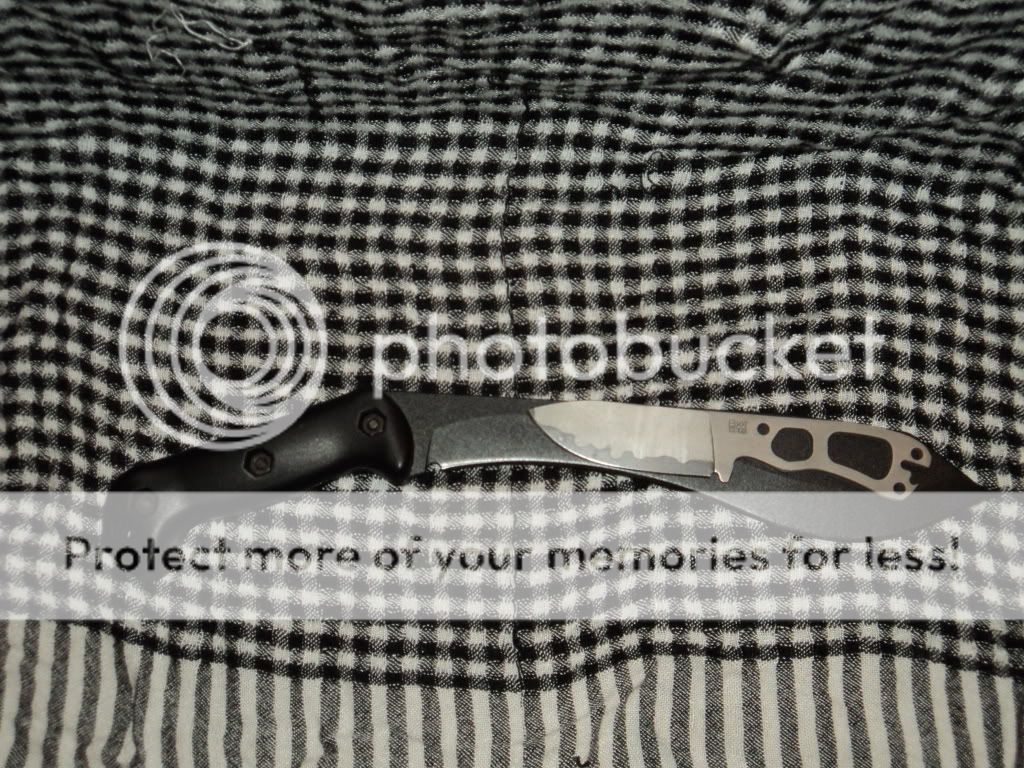 DSC00913.jpg