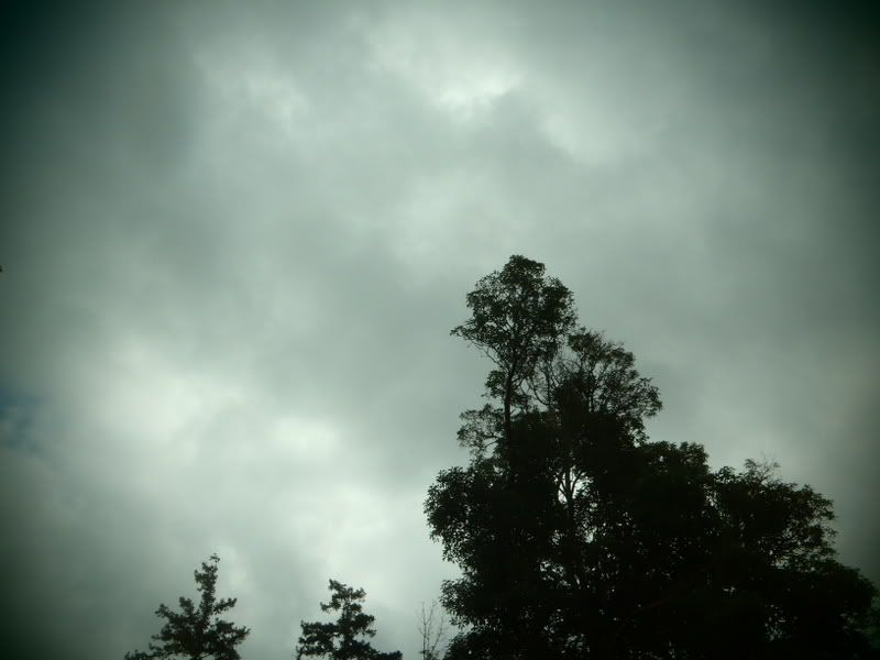 016-1.jpg