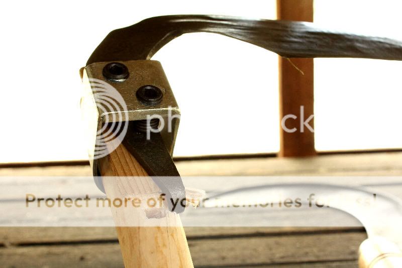 ScytheSnathBreak20100516_sm.jpg
