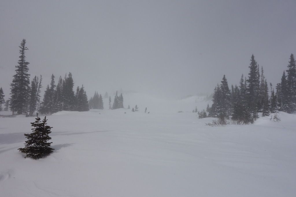 DSC02575_zps8levxqea.jpg
