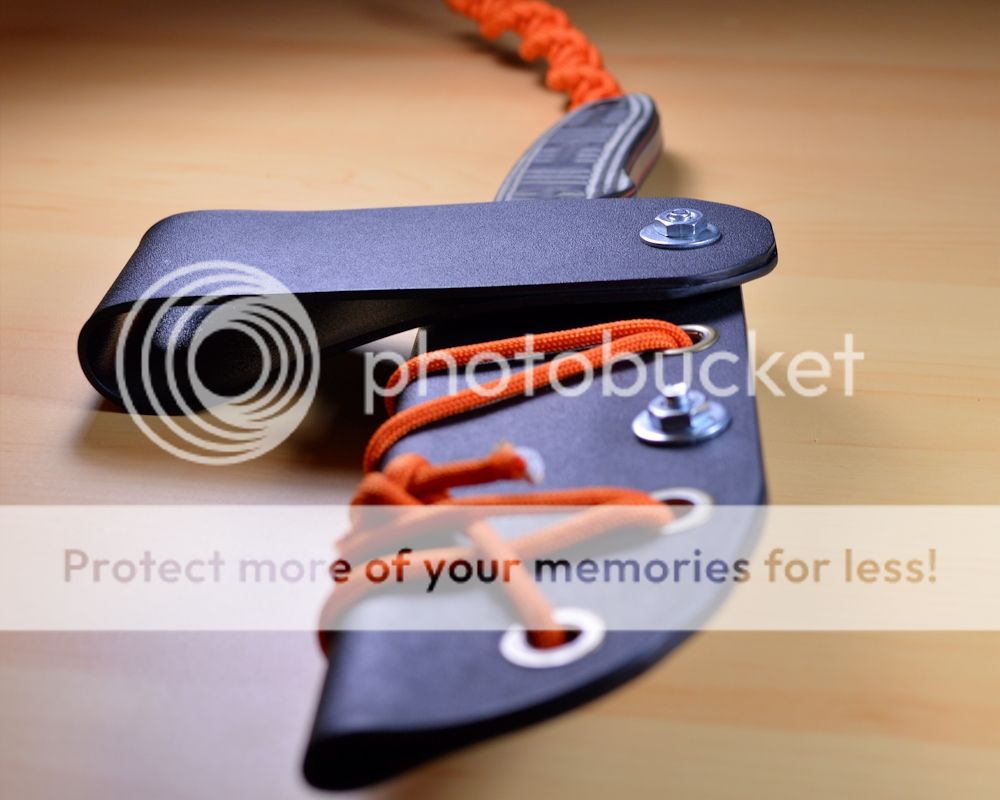 DSC_4322_r_8x10_zpscbd0f1ab.jpg