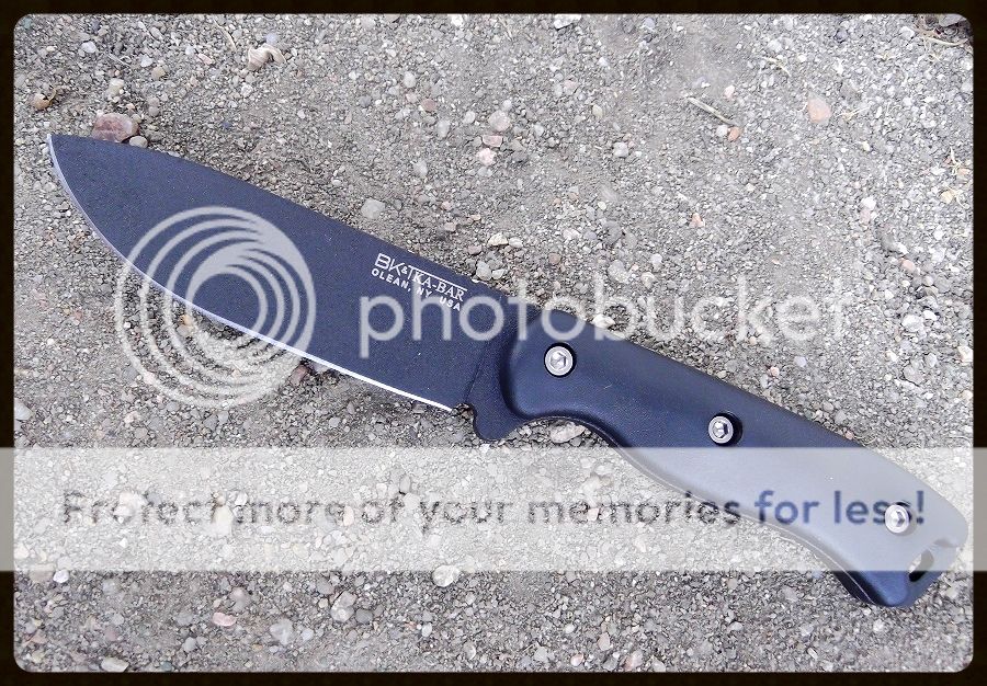 5dd12efe-e4d4-4fa7-8480-7ae119153467_zpsed3d665c.jpg