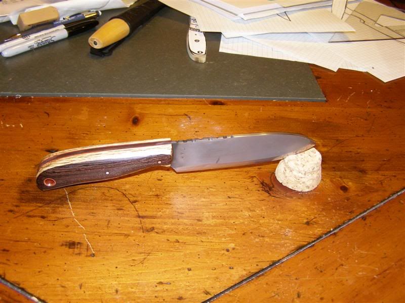 P1010074Medium.jpg