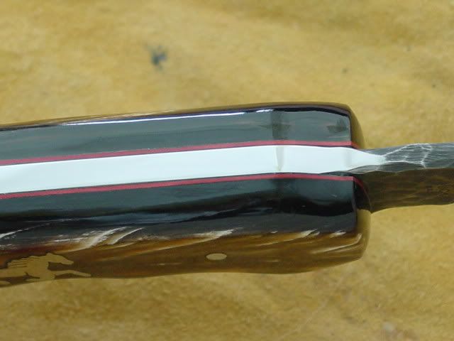 DSC00056.jpg