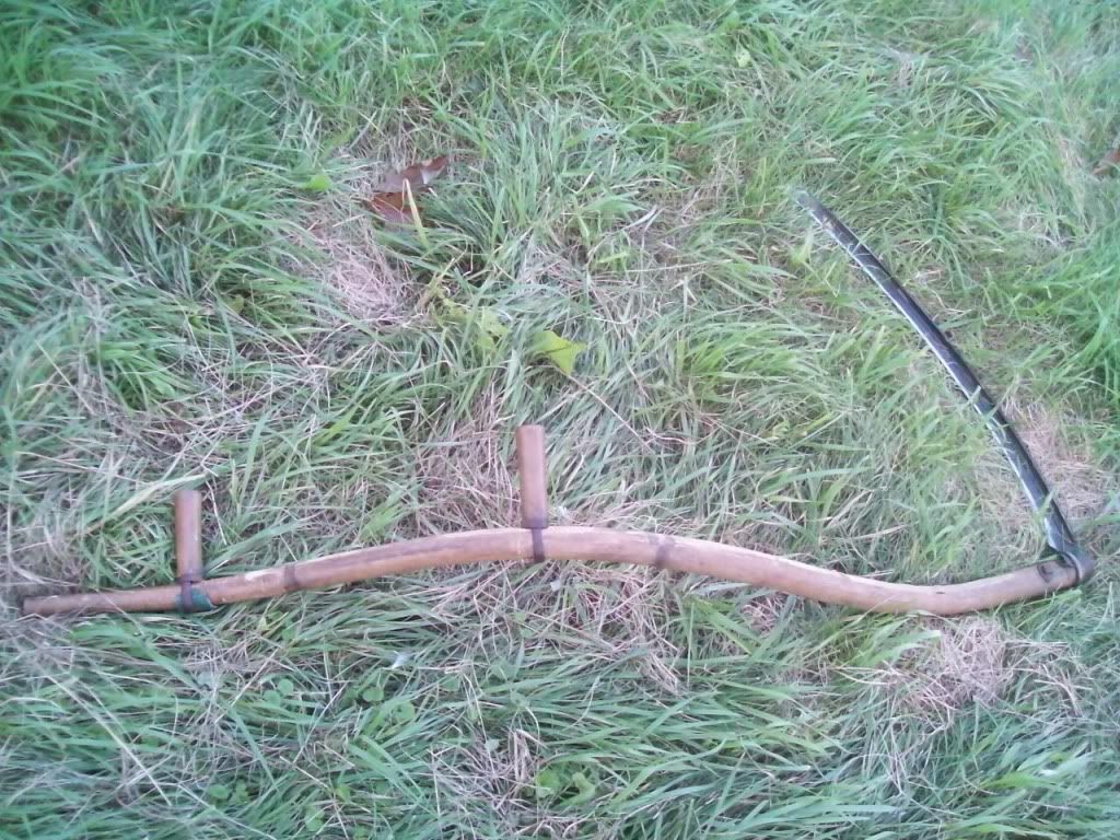 Picture641.jpg