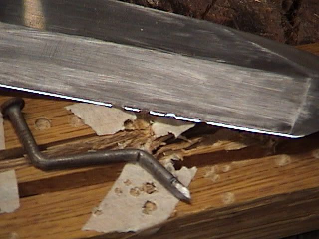 DSC05085.jpg