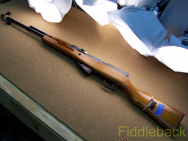 sks100_2817-vi.jpg