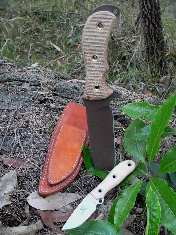 MuddyRatweiler4.jpg
