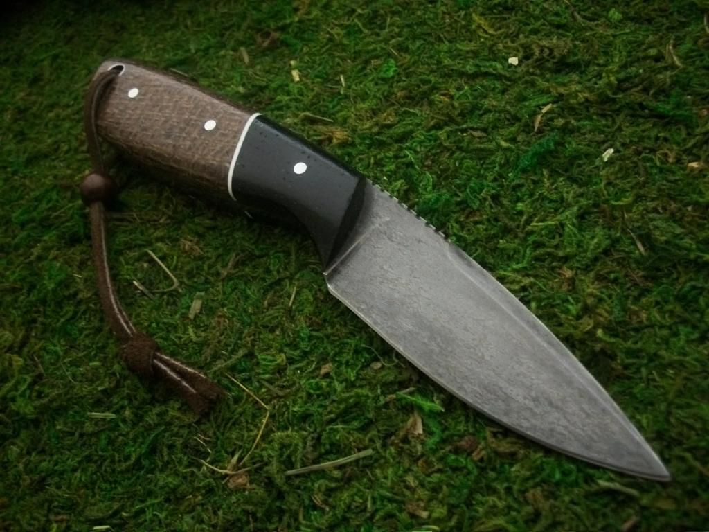 BLAP011.jpg