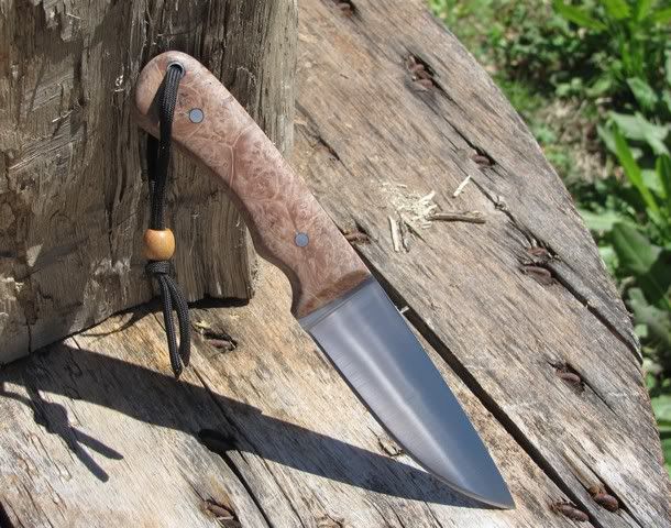 mapleburl03241200002.jpg