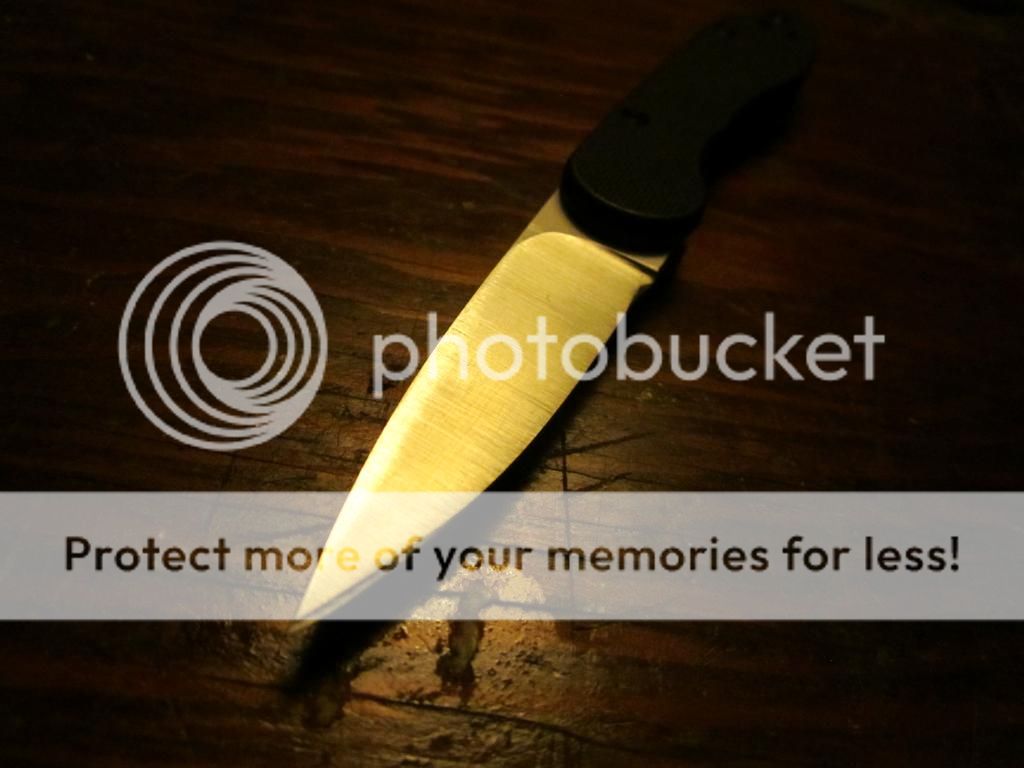 IMG_1730_zpsf65f29df.jpg