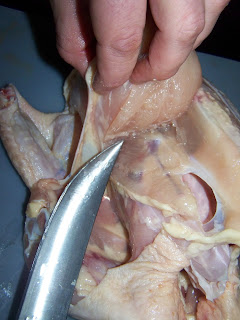 100_7931.JPG