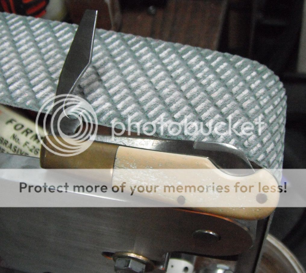 DSCF8086_zpsadcaaab5.jpg~original