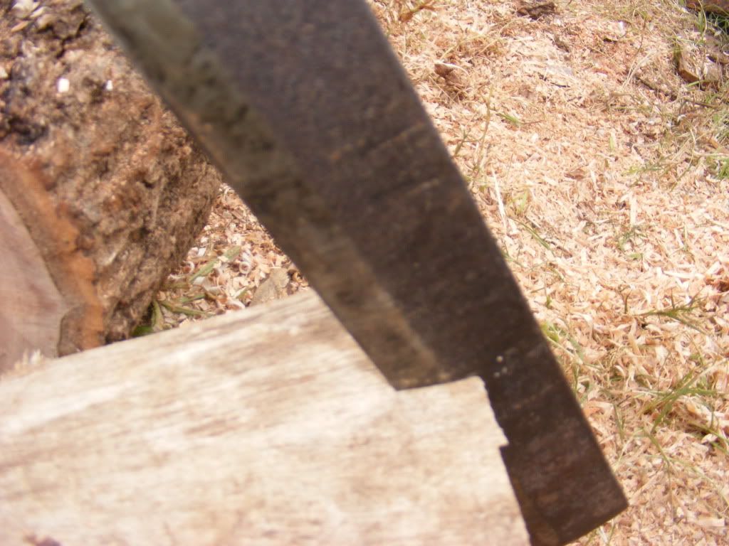 DSCF1763.jpg