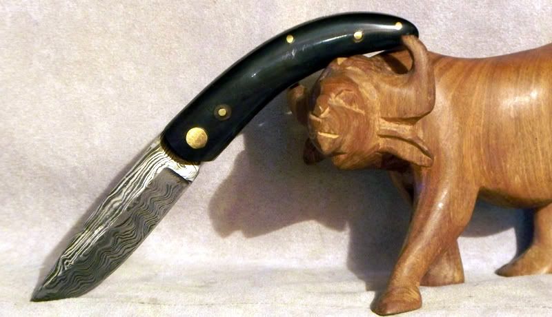 damascbull2.jpg