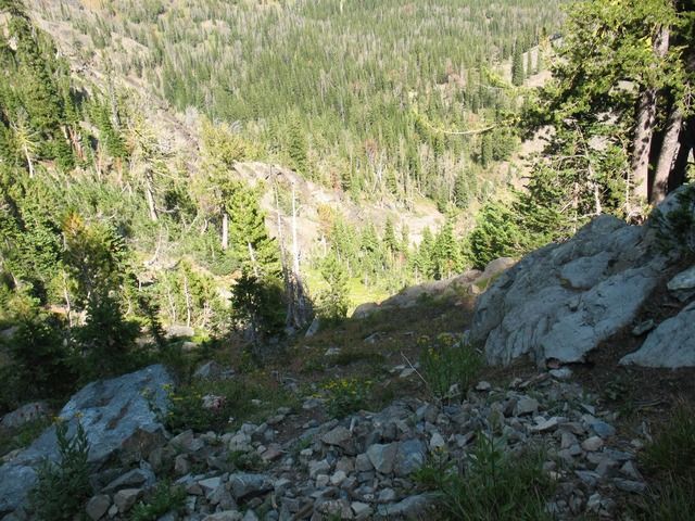 IMG_4448.jpg