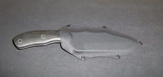 mako3.jpg