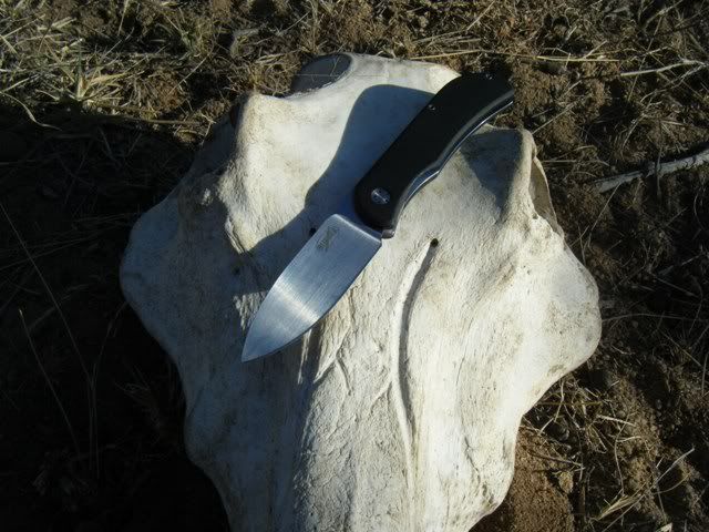 2008_0921allefotos0102.jpg