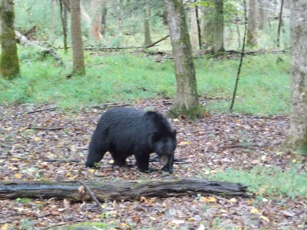 CadesCove10-7-12099.jpg