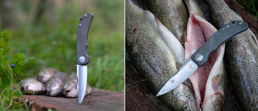 impinda_fish_900.jpg