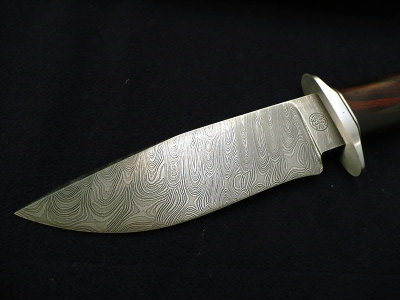 jimmychindamascus503.jpg