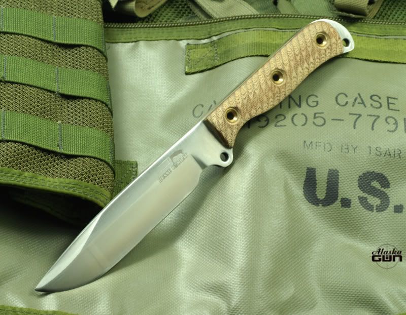 Busse-ZT-SJ.jpg
