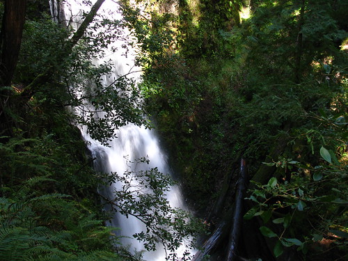 3340732542_e89ea2c010.jpg