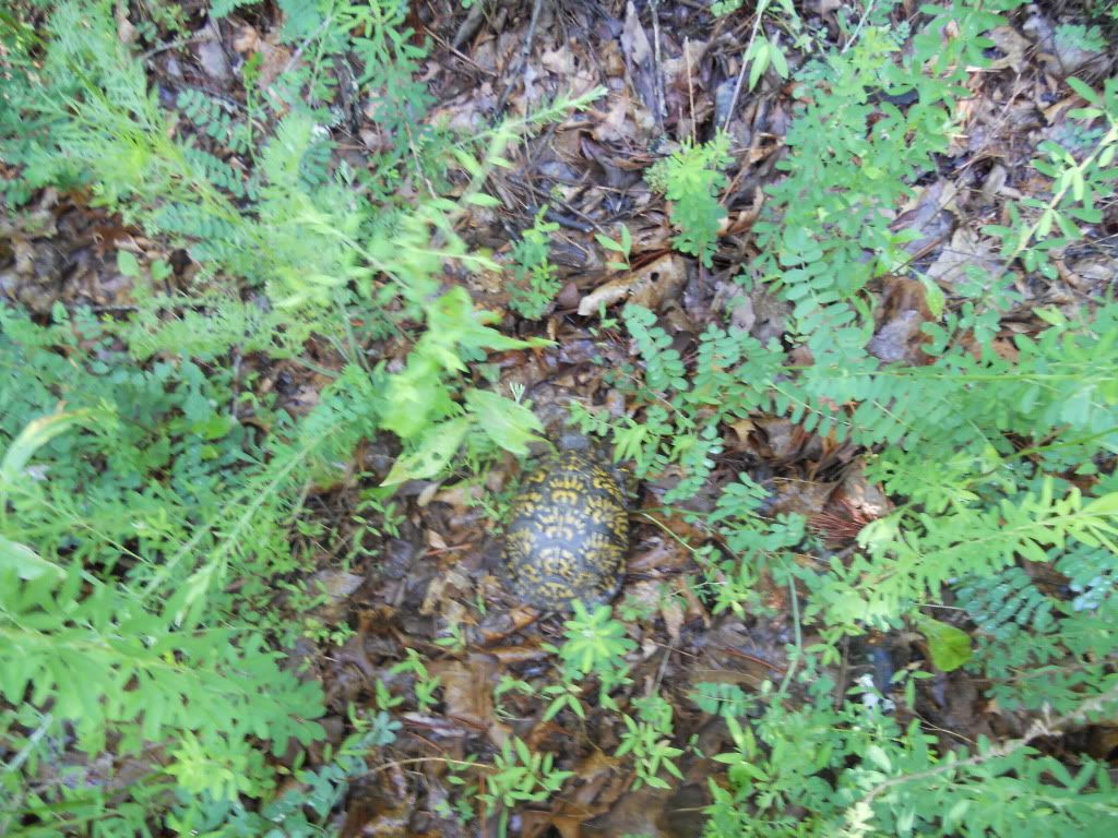 DSCN0574.jpg
