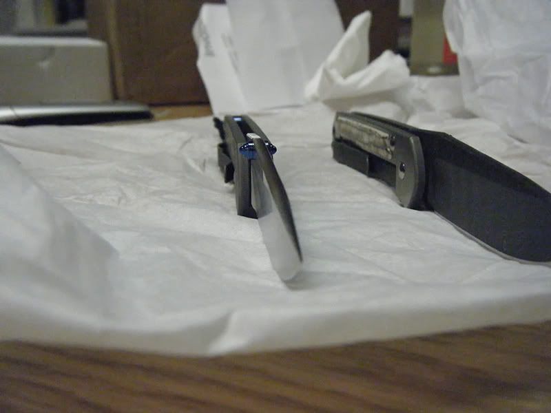 mypicsofsebbie013.jpg
