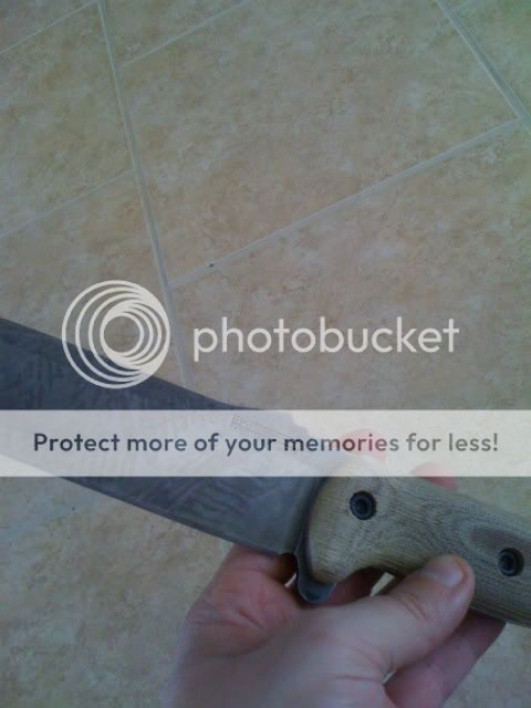026-3.jpg