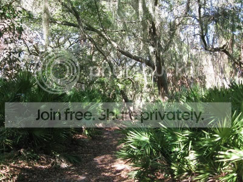 Jekyll009.jpg