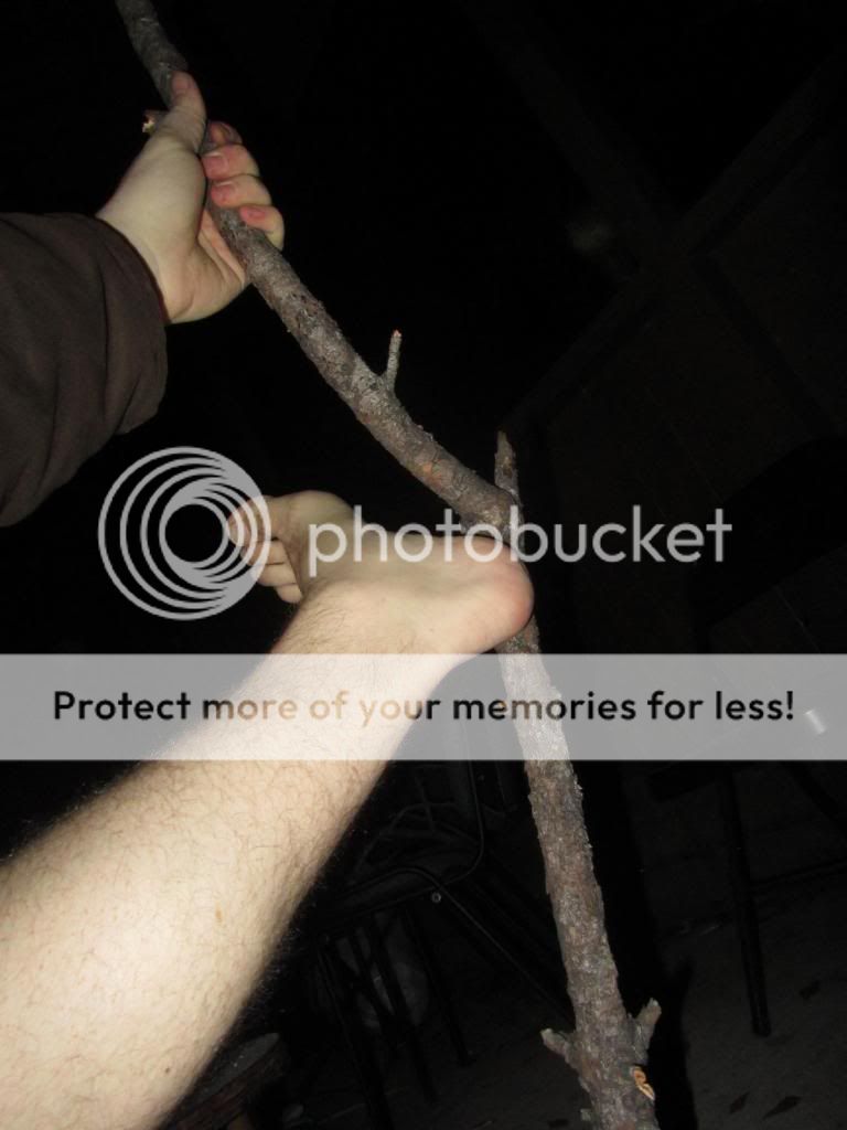 IMG_1283_zpsc569da2e.jpg