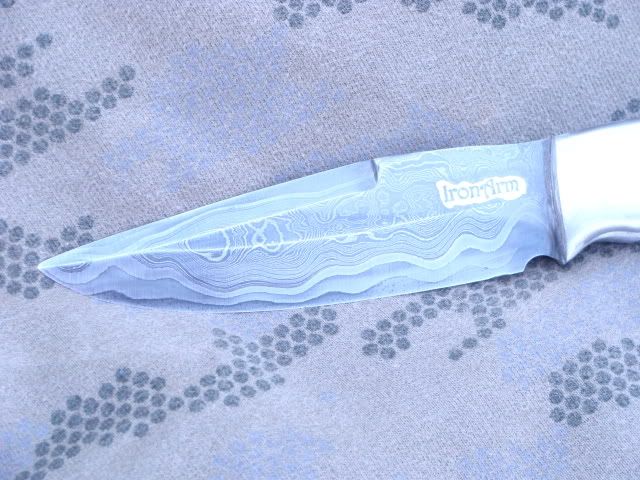 DSC02105.jpg