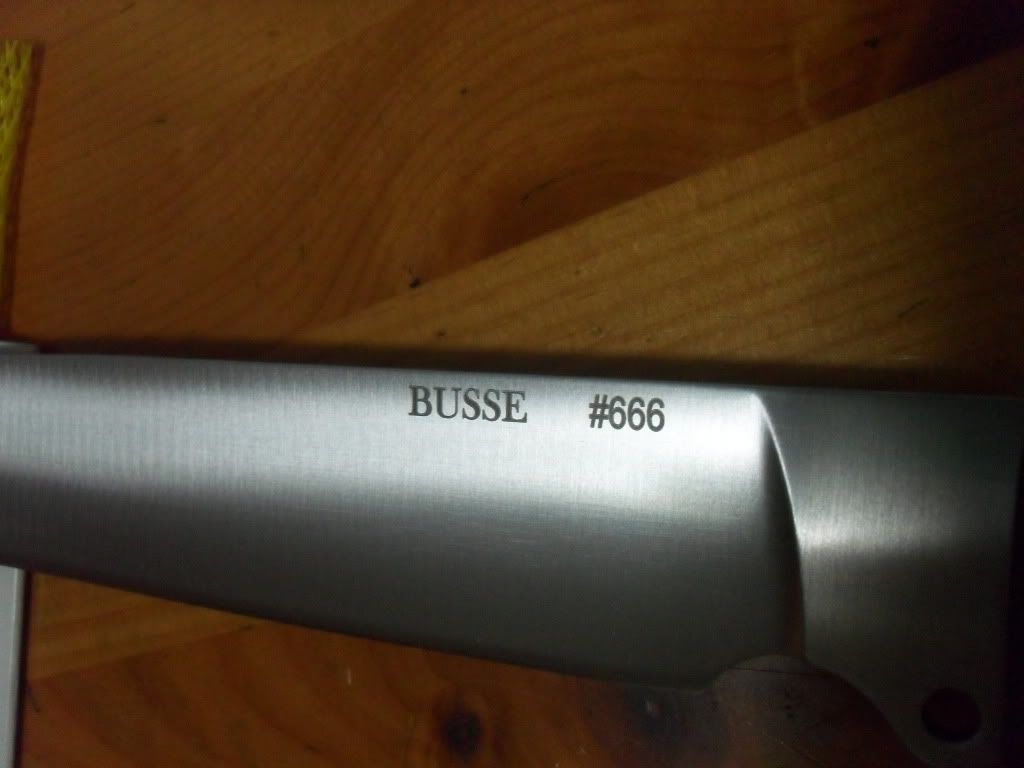 SDC13697.jpg