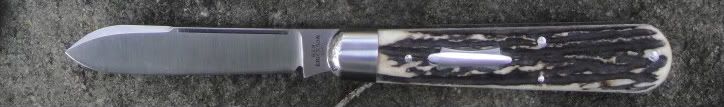 DSC01064-1.jpg