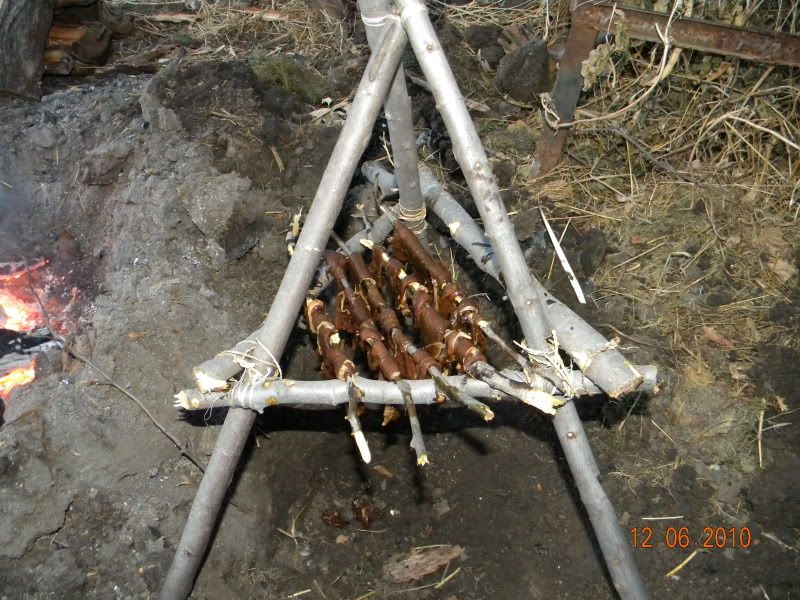 DSCN3144.jpg
