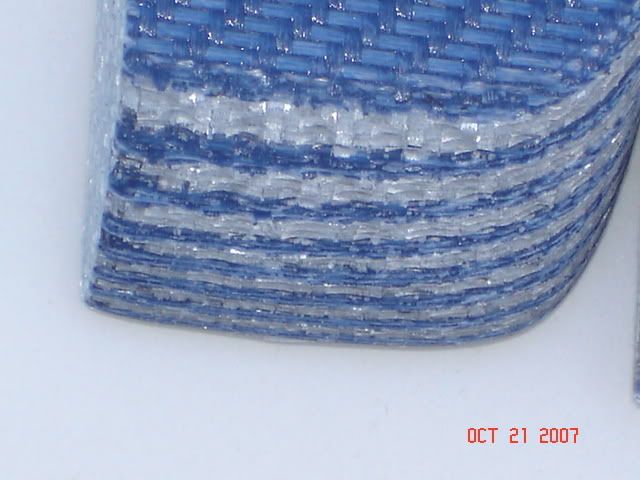 DSC01286.jpg