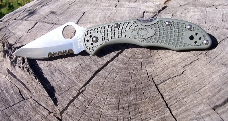 delica1.jpg