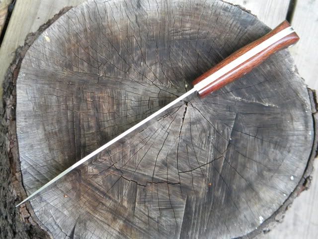 DSCN1661.jpg