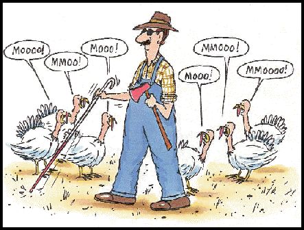thanksgiving2.jpg