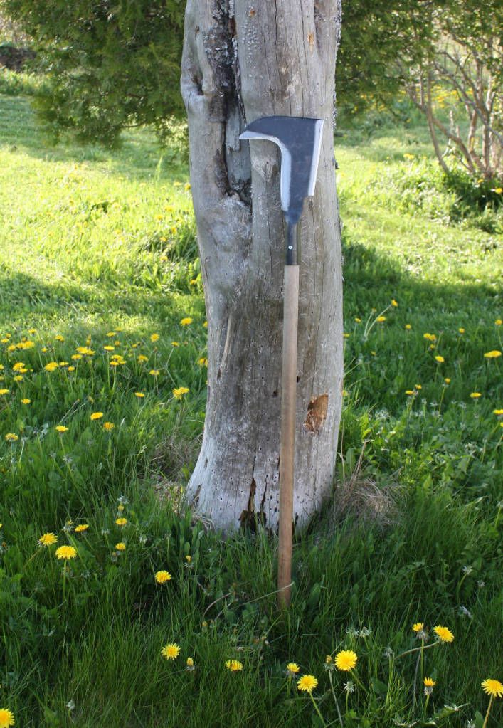 BillHook20120520_sm.jpg