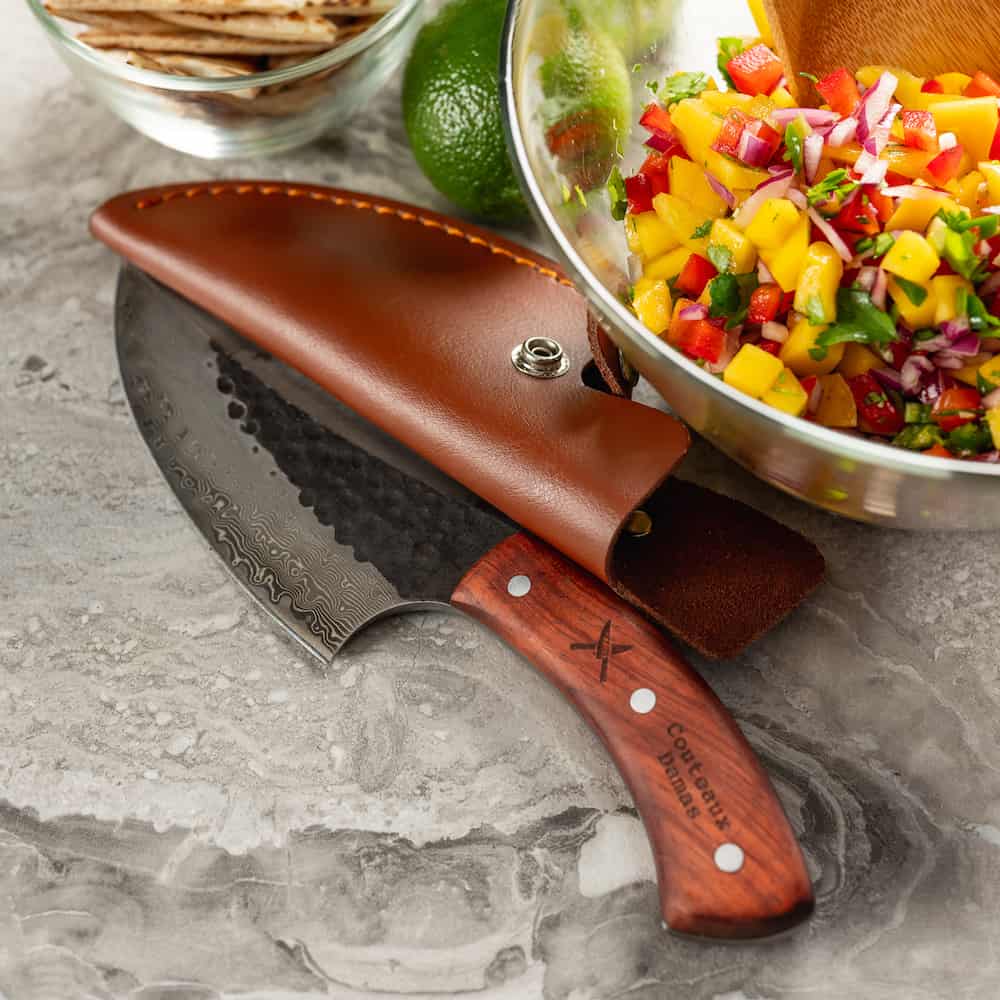 Spyderco_ByrdKnife_BY22SBK.jpg
